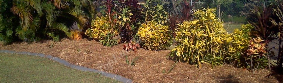 Mulch