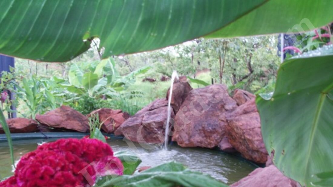 Landscaping and Garden Ideas