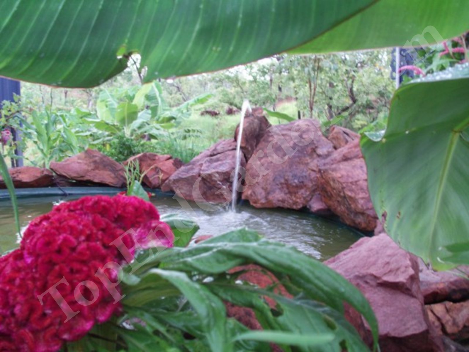 Darwin Landscaping and Garden Ideas
