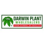 Darwin Plant Wholesaslers