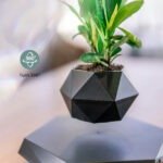 Gominimo Magnetic Levitating Floating Small Succulent Hovering Plant Pot Black