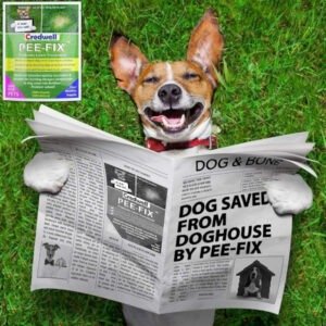 PEE-FIX dog urine neutraliser grass lawn repair treatment