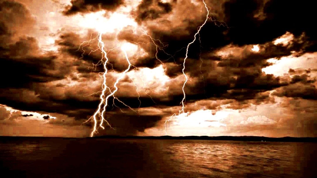 Gardening in Darwin During Monsoon Season