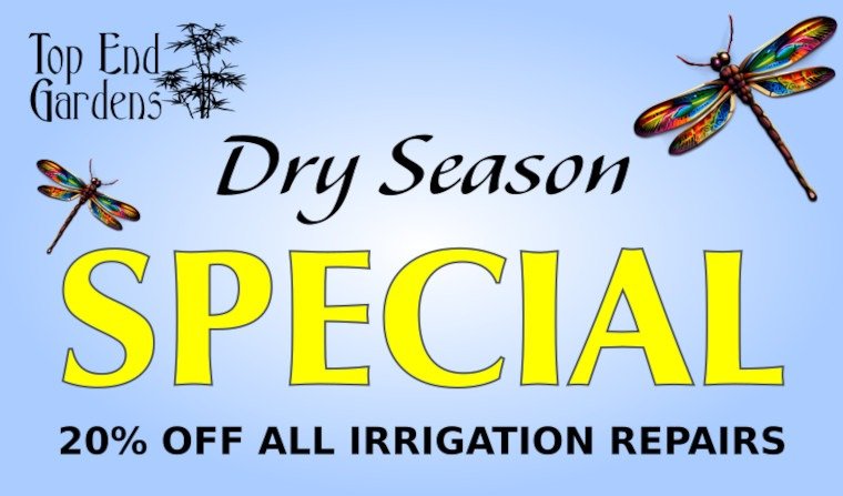 Dry Season Special