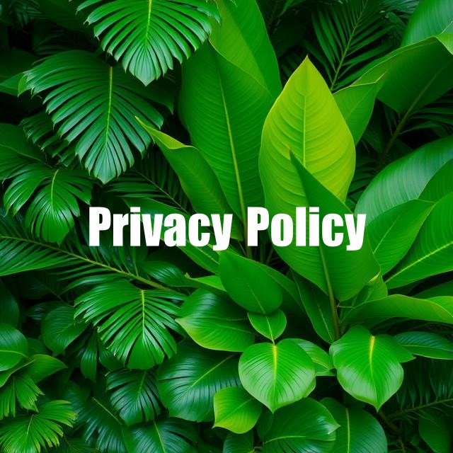 Privacy Policy