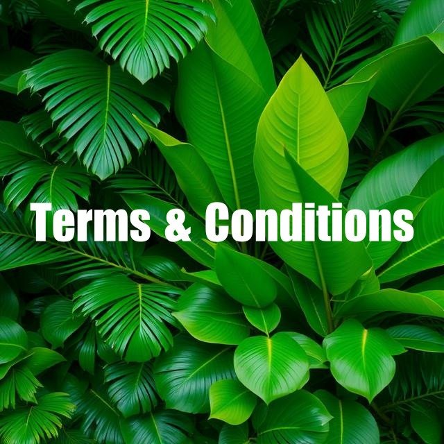 Terms and Conditions