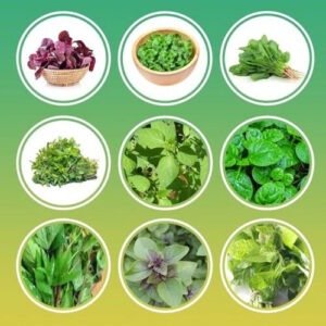 Vegetable Seeds