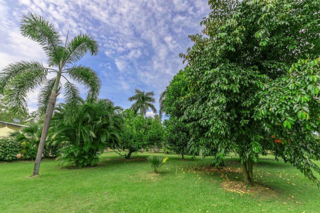 Irrigation Services Girraween