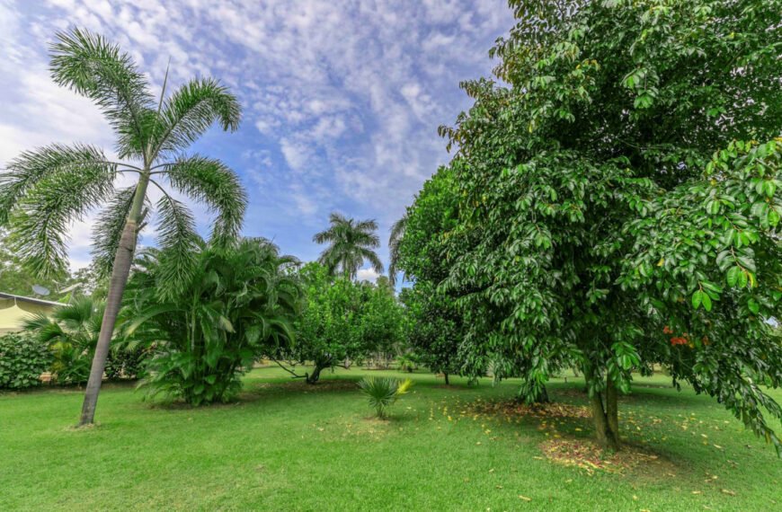 Irrigation Services Girraween