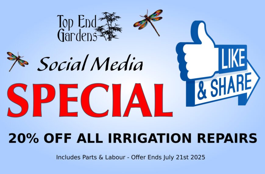 Social Media Special