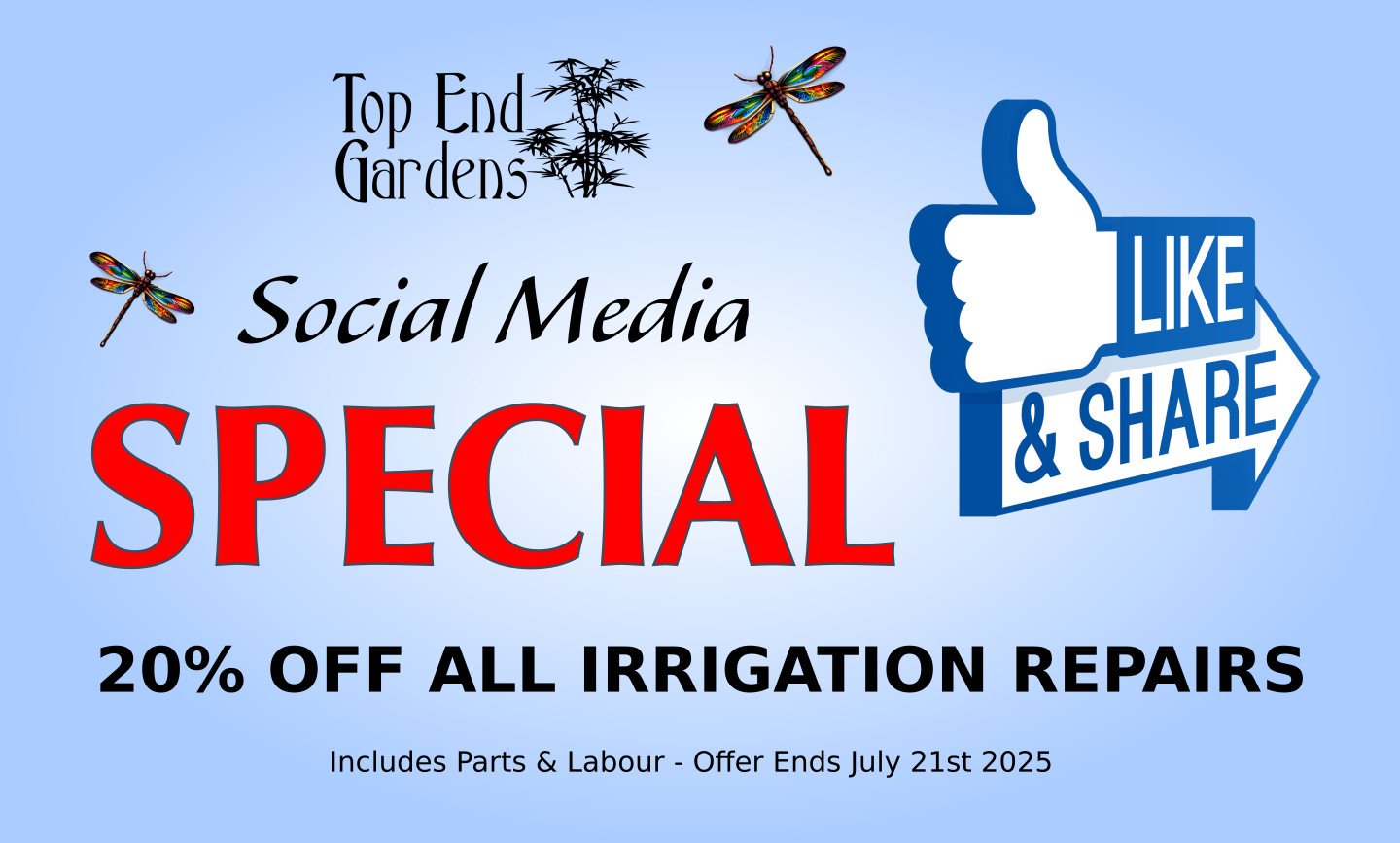 Social Media Special
